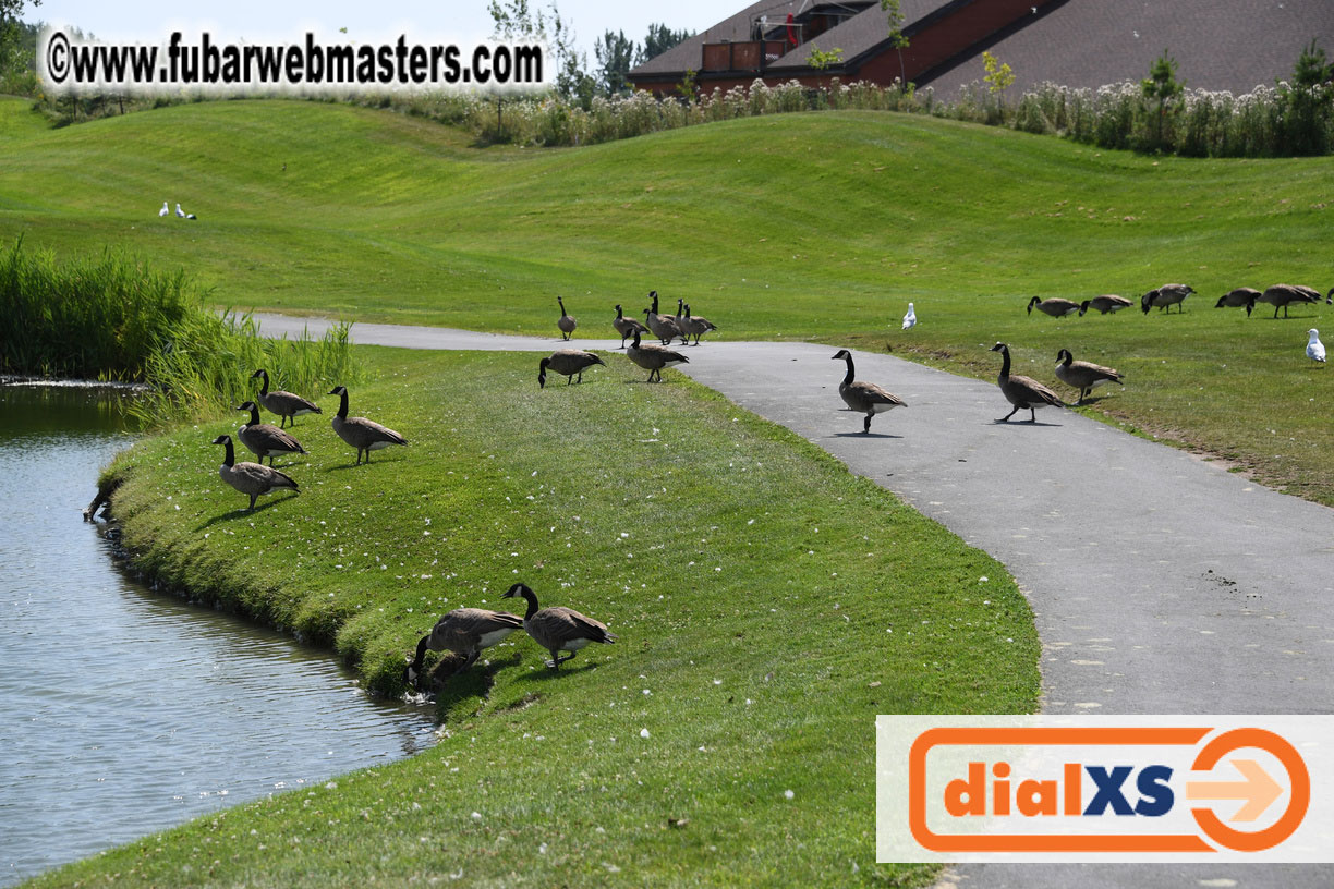 Annual Qwebec Golf Tournament