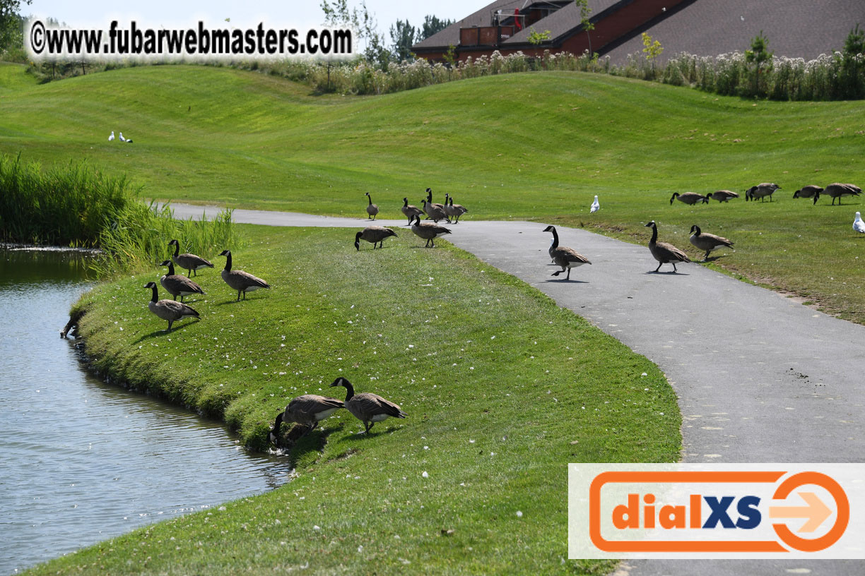 Annual Qwebec Golf Tournament