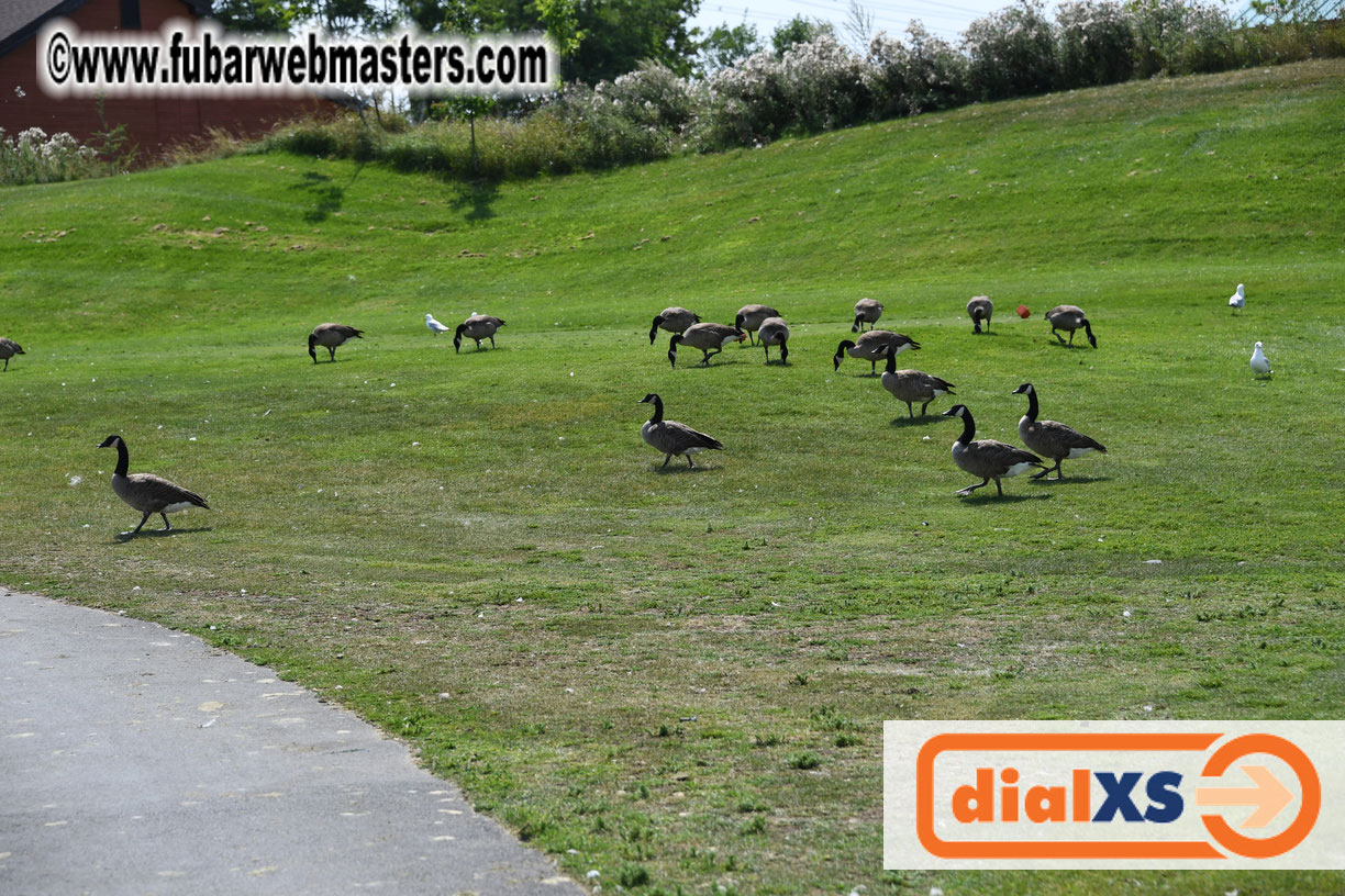 Annual Qwebec Golf Tournament