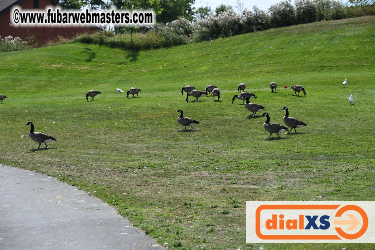 Annual Qwebec Golf Tournament