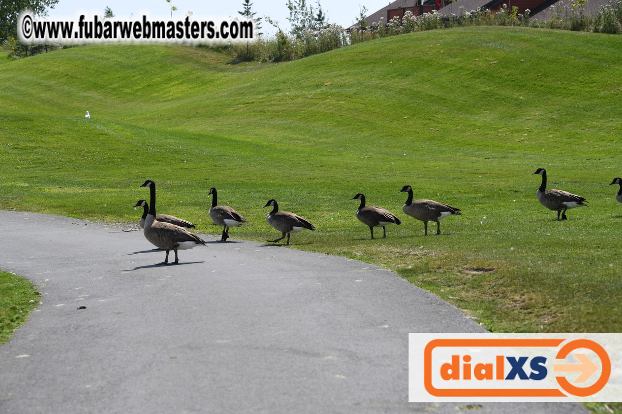 Annual Qwebec Golf Tournament