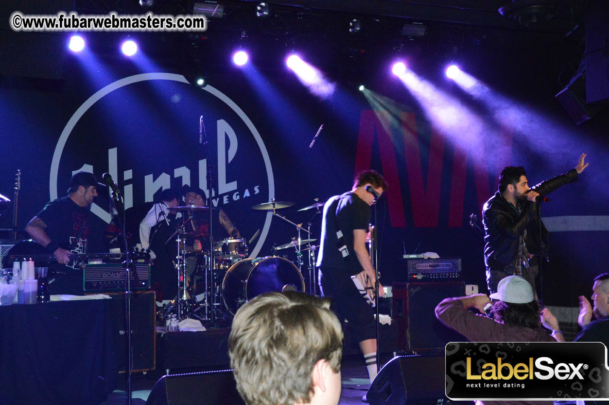 Performance by Zebrahead