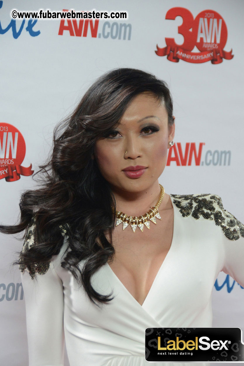 Red Carpet Arrivals for the AVN Awards