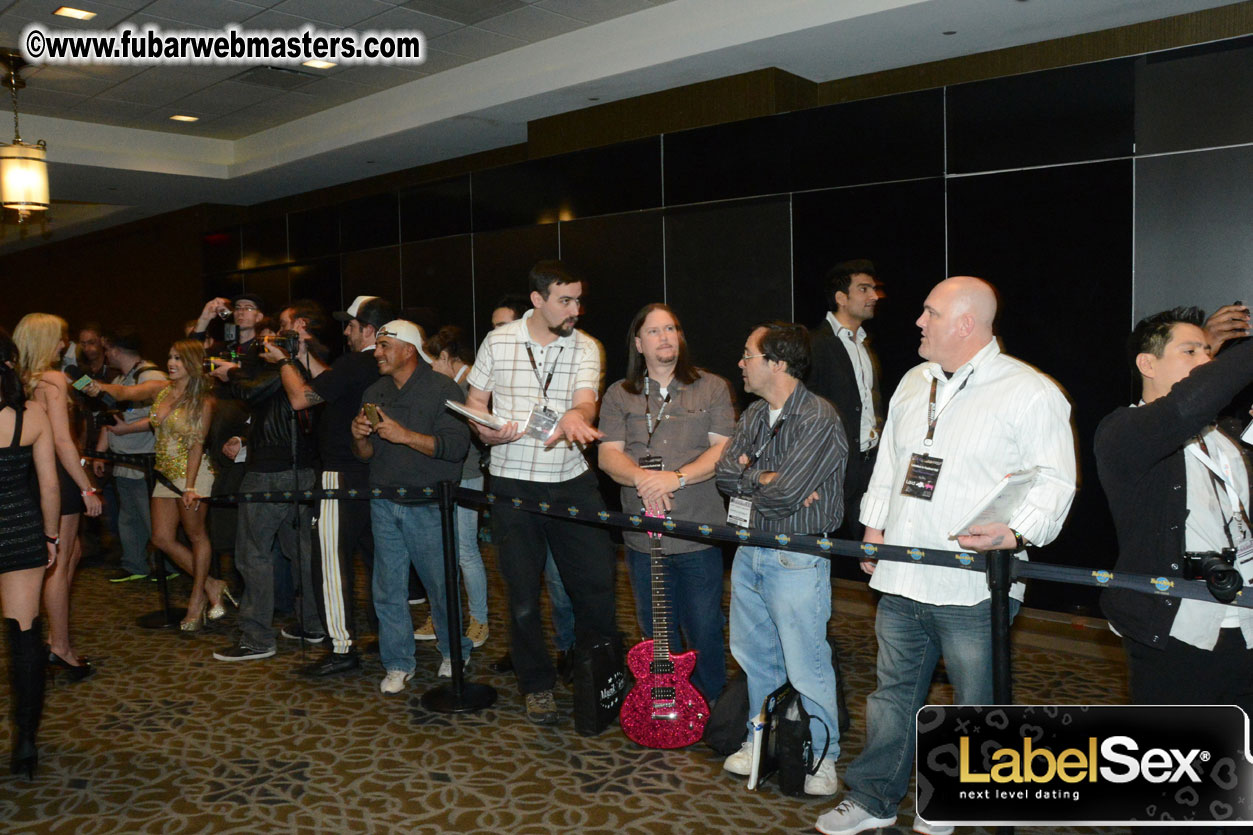 2013 AVN Awards Show