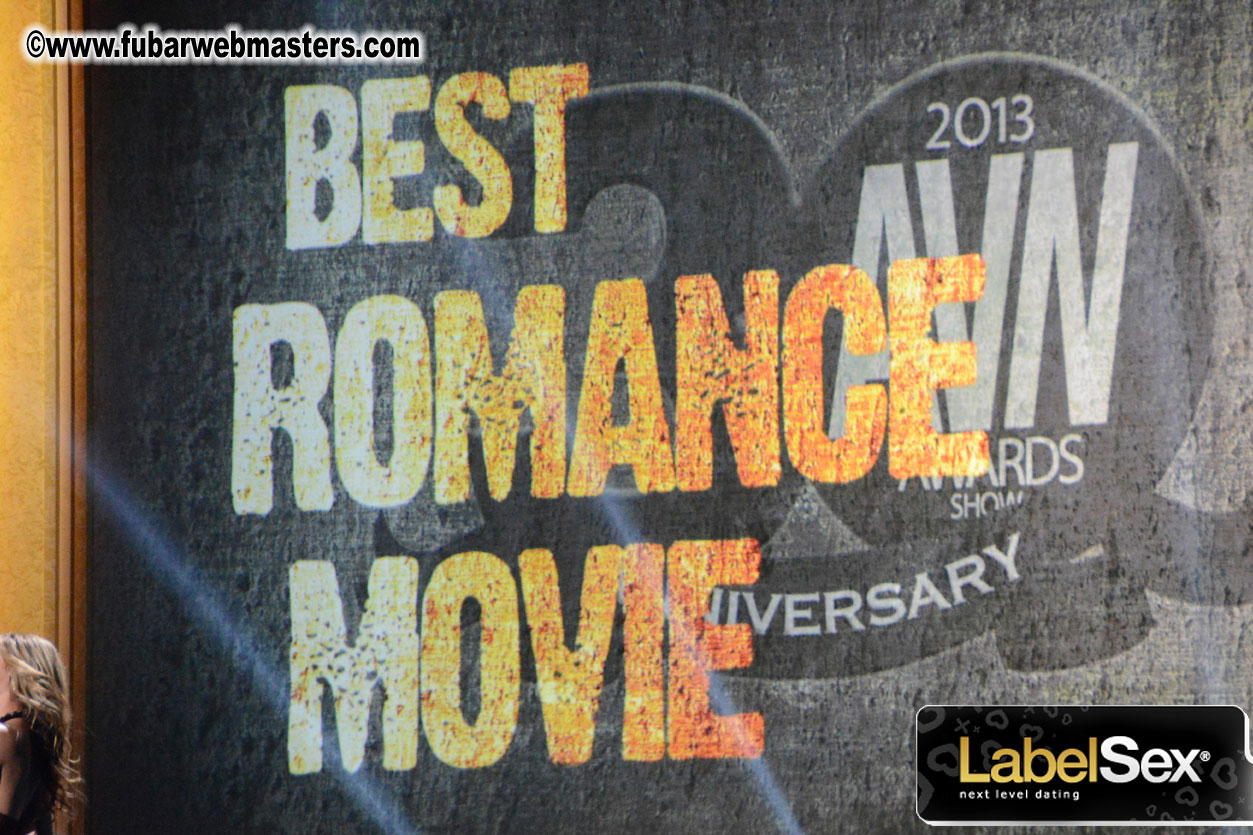 2013 AVN Awards Show