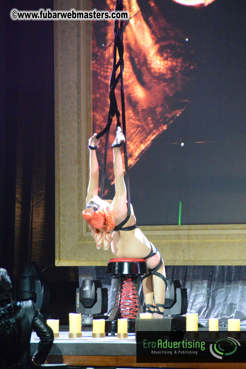 2013 AVN Awards Show