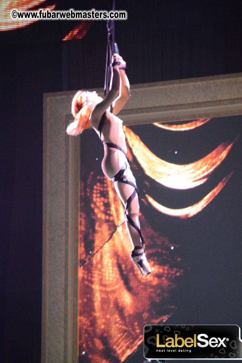 2013 AVN Awards Show