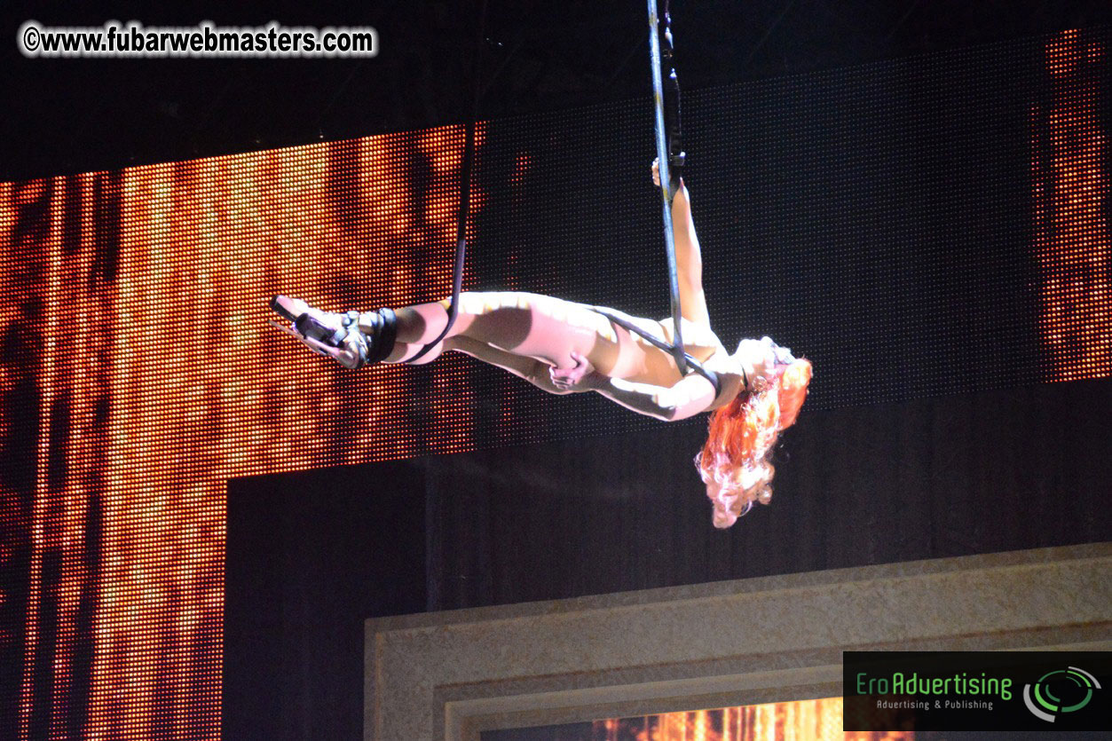 2013 AVN Awards Show