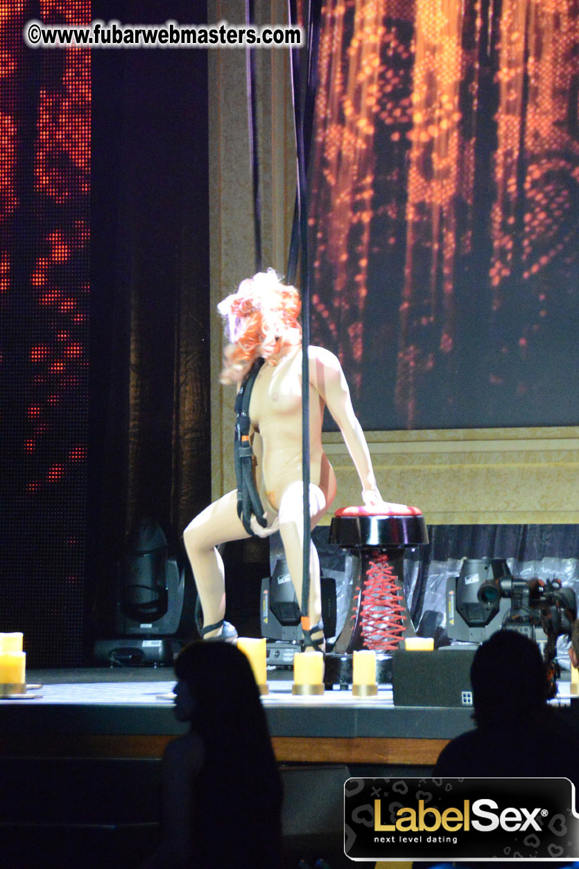 2013 AVN Awards Show