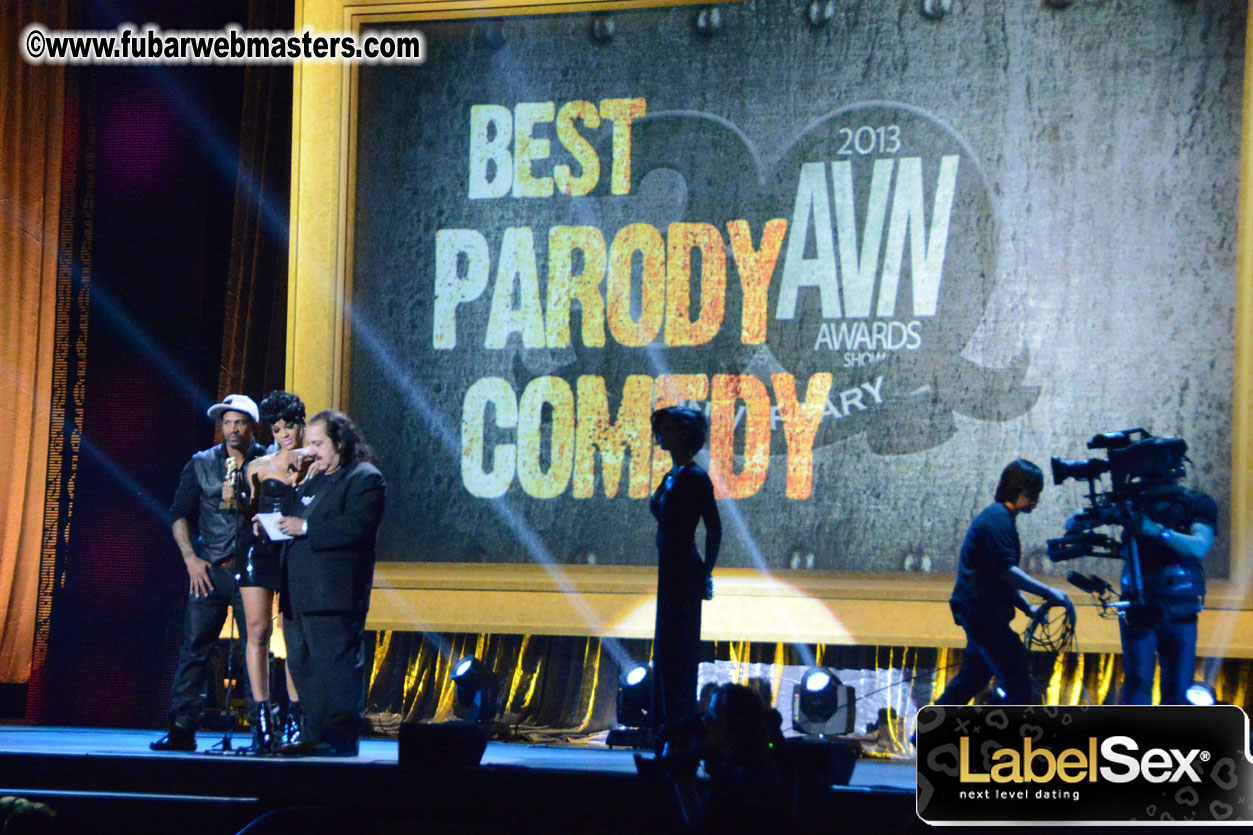 2013 AVN Awards Show