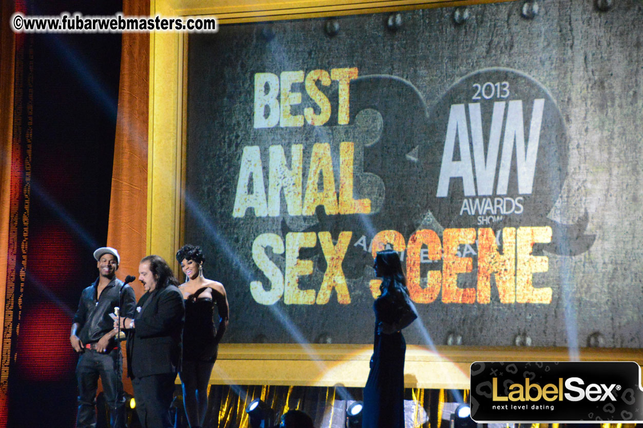 2013 AVN Awards Show