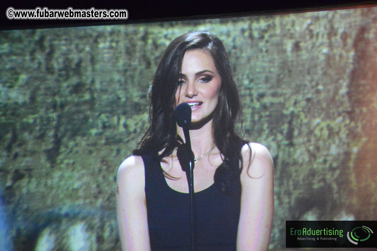 2013 AVN Awards Show