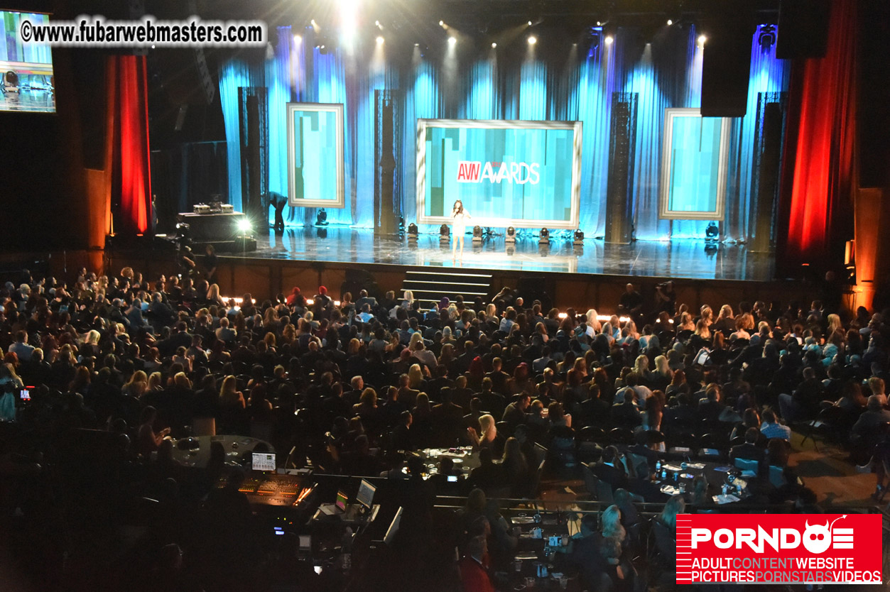 AVN Awards
