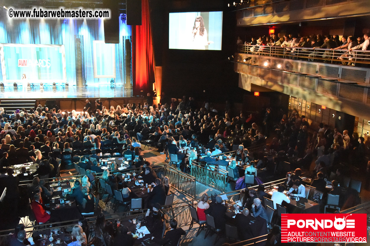 AVN Awards