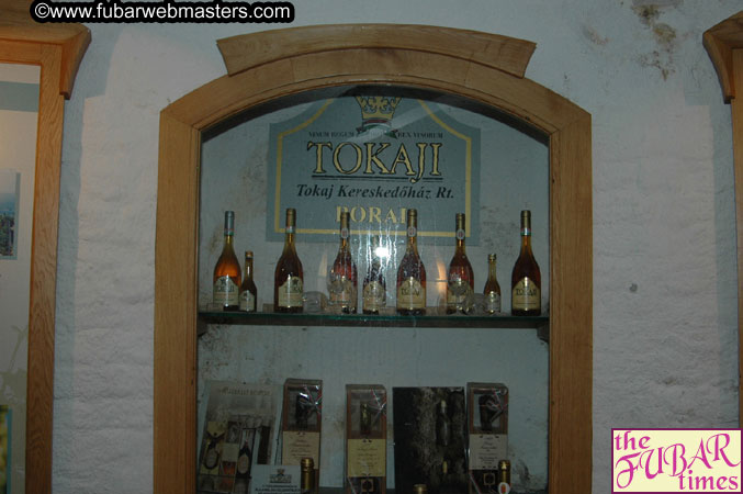 AOE Webmasters Tour of Budapest