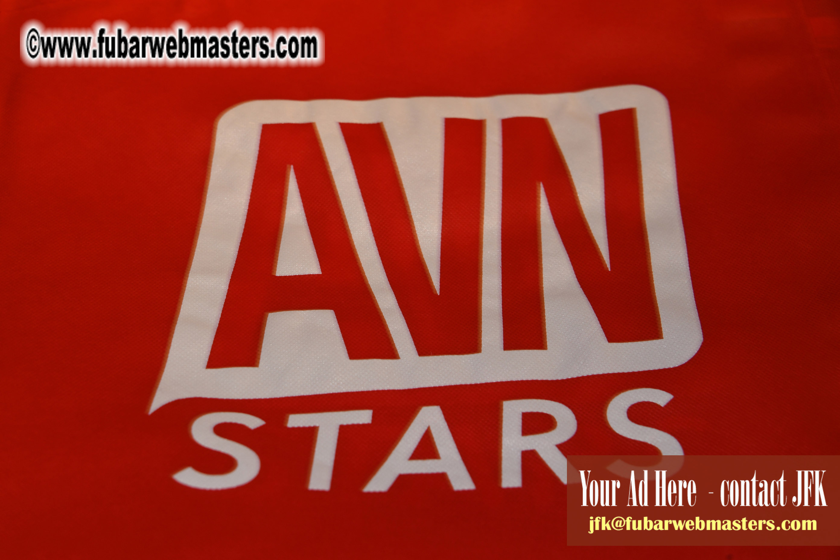The AVN Show