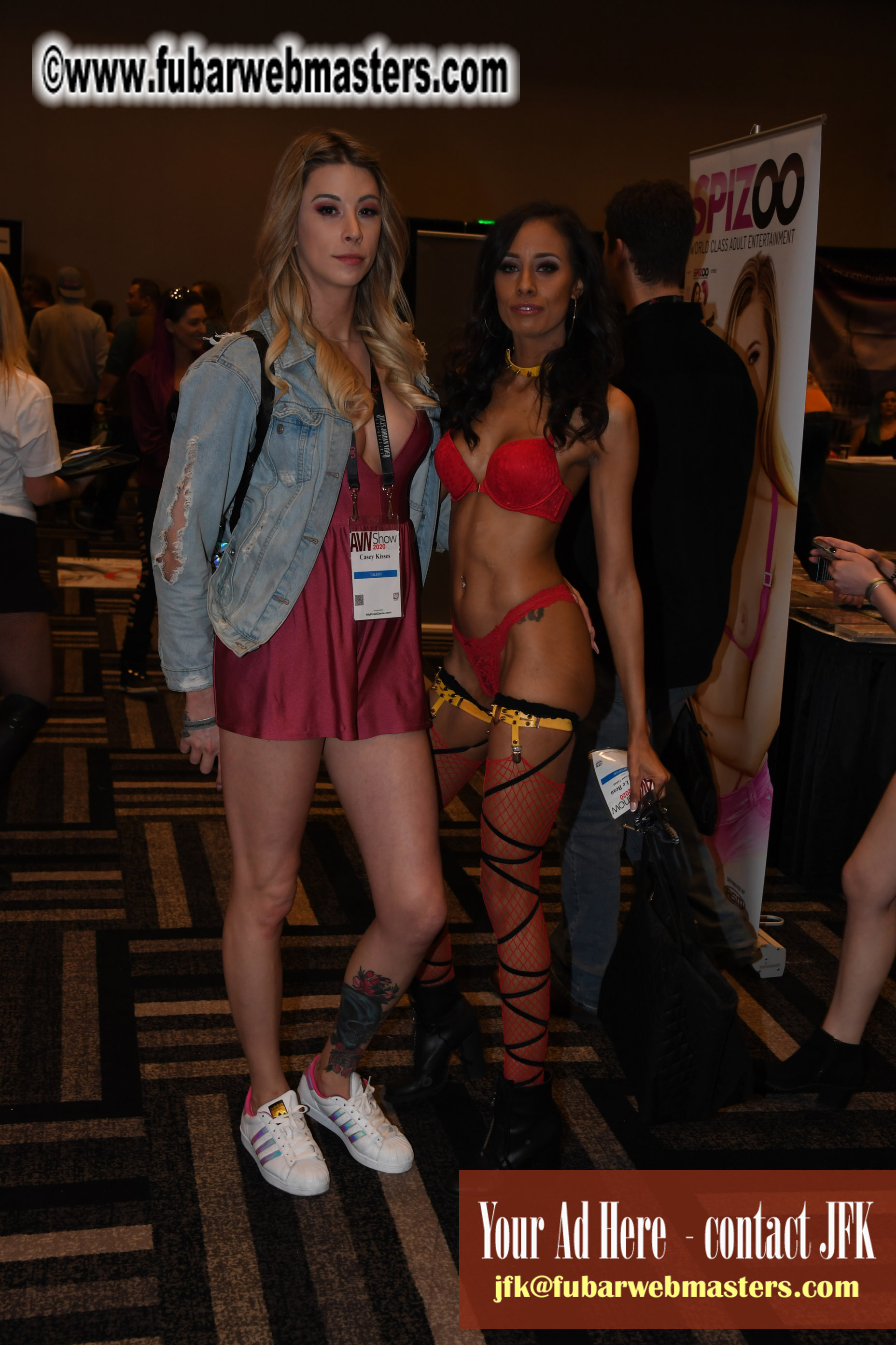 The AVN Show