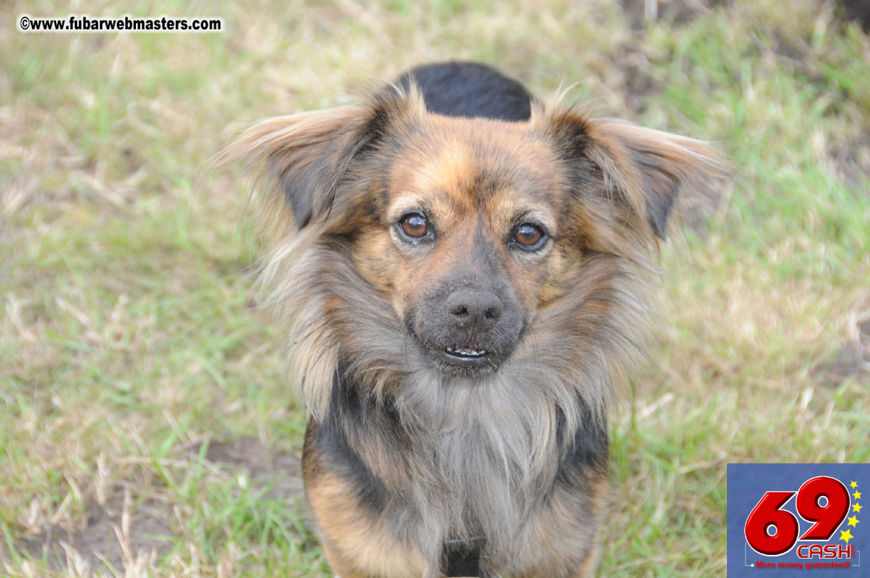 Friday - Behind the scenes & Party