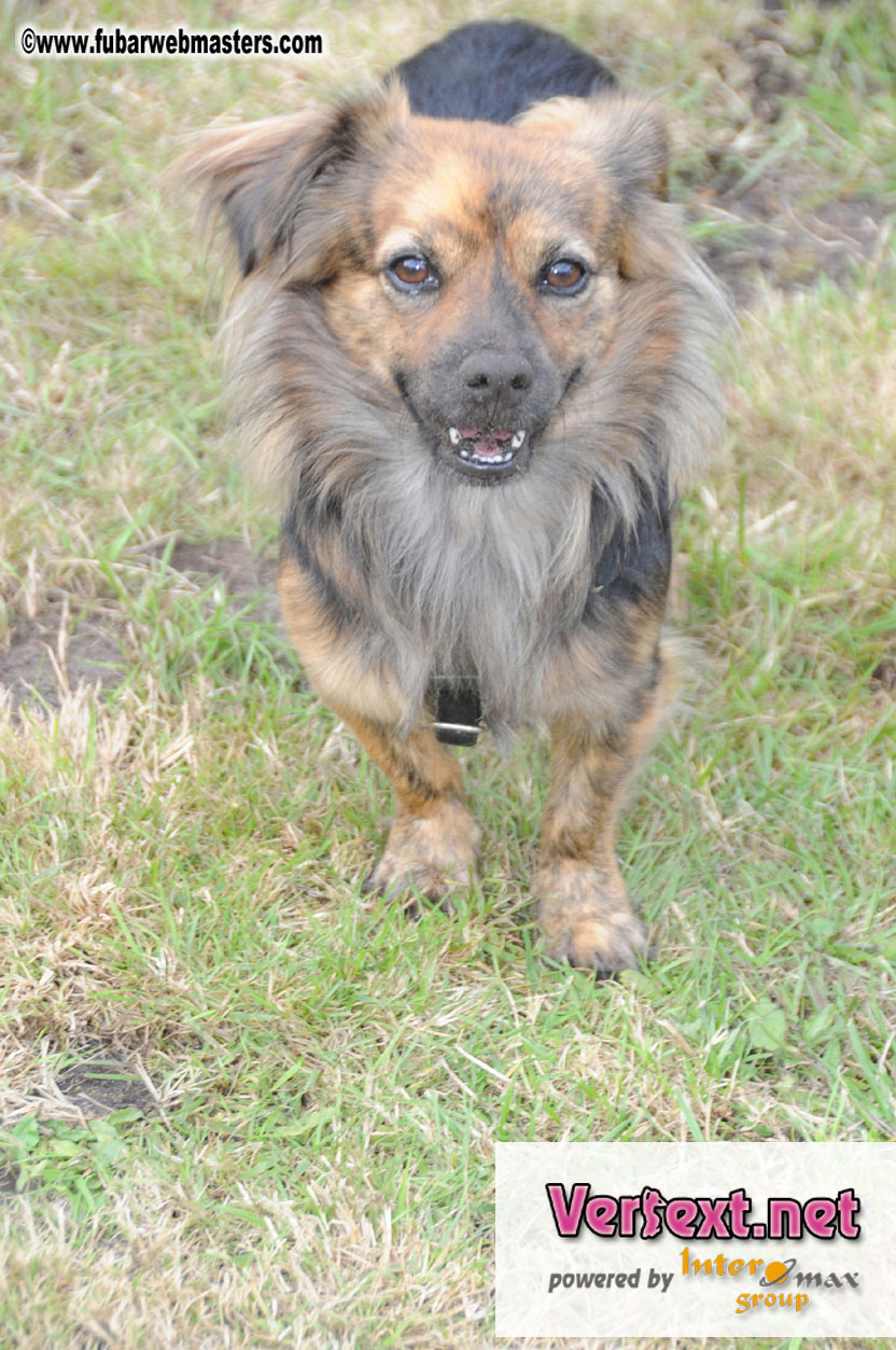 Friday - Behind the scenes & Party