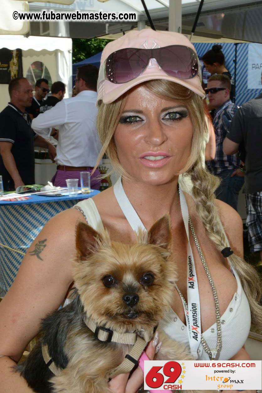 Adult Webmaster Meeting day