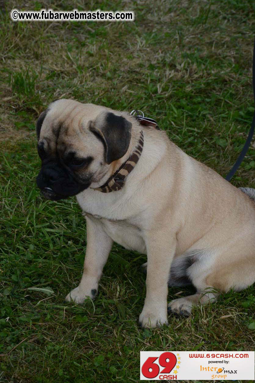 Adult Webmaster Meeting day