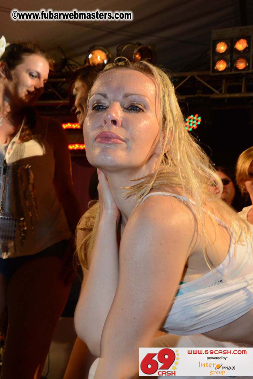 Adult Webmaster Meeting Evening Party