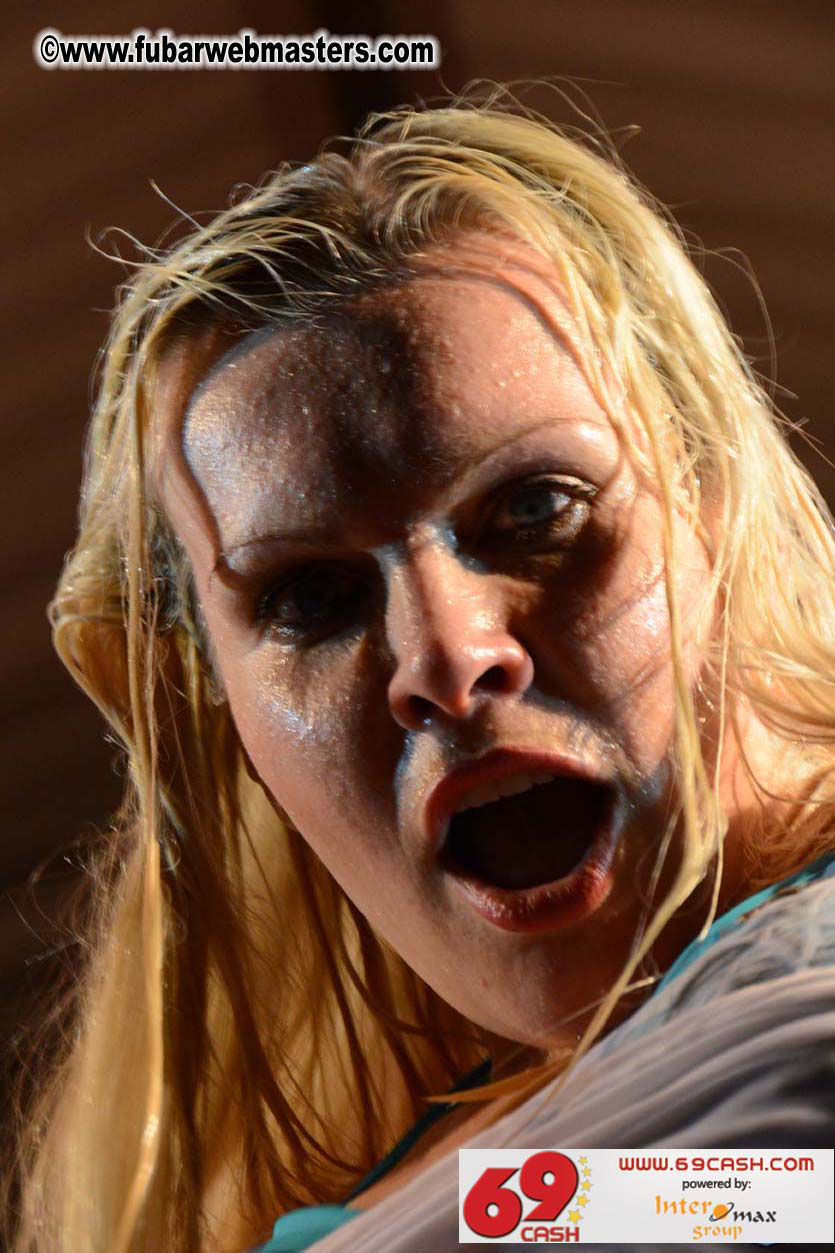 Adult Webmaster Meeting Evening Party