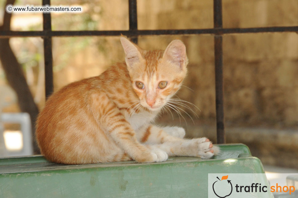 Visit to Northern Cyprus