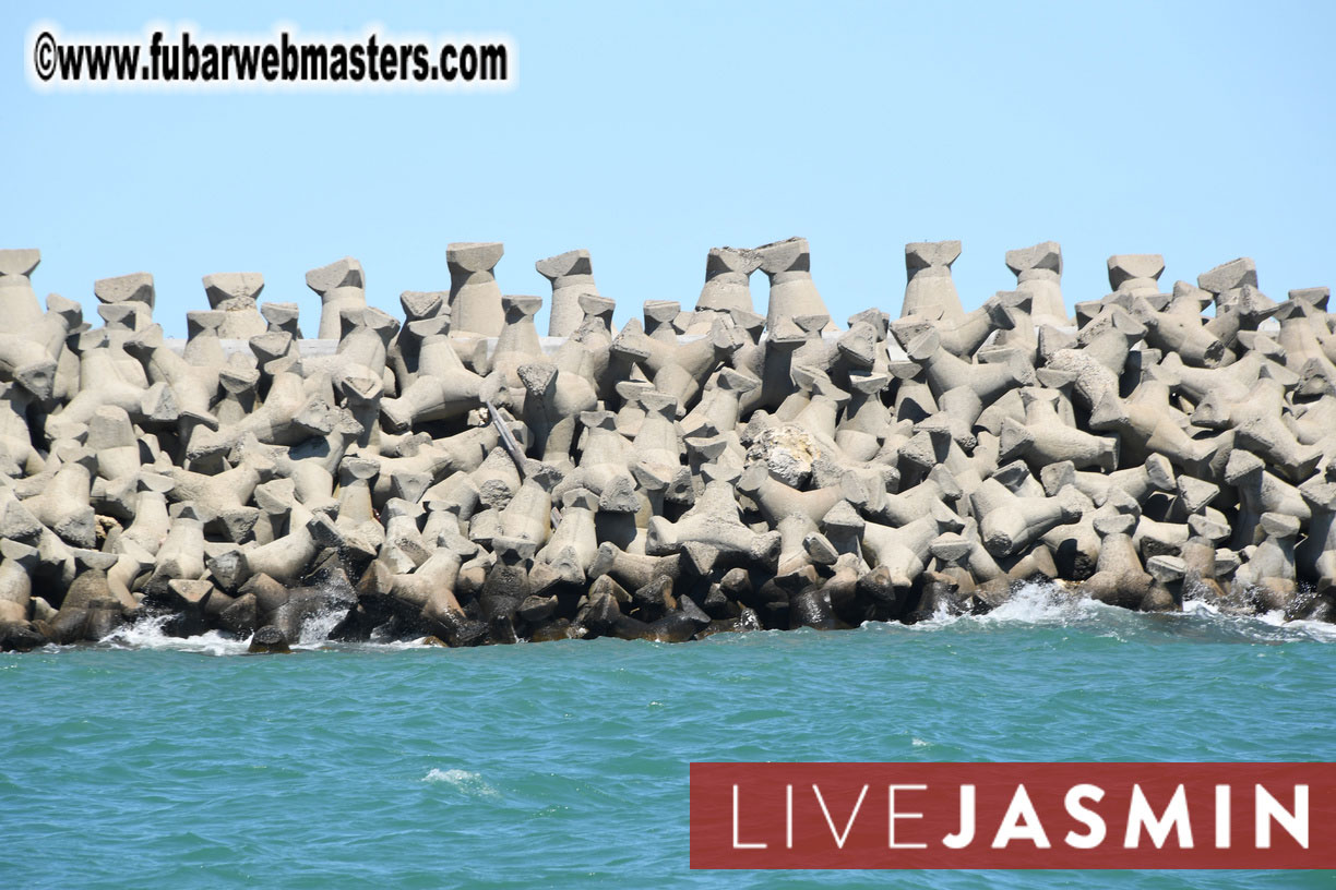 Streamate VIP Cruise