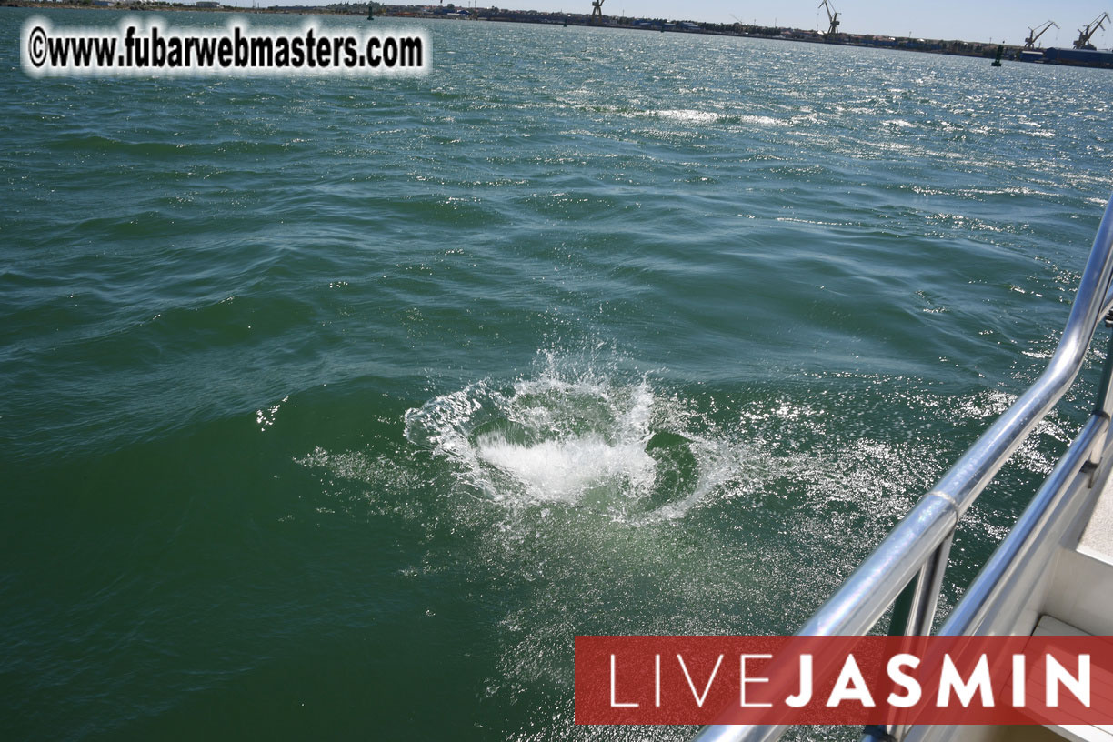 Streamate VIP Cruise