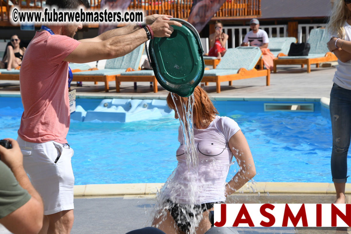 Wet T-Shirts Contest