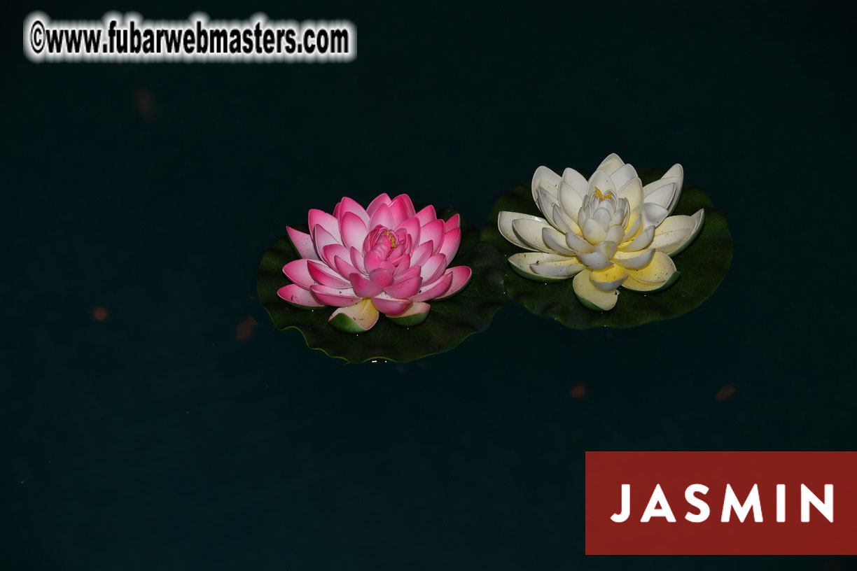 VIP Executive Dinner