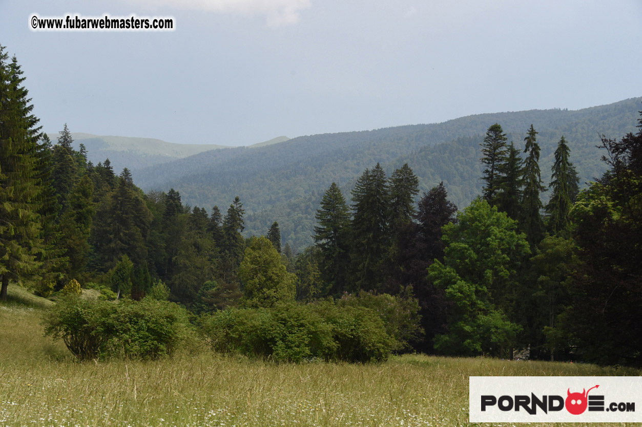 Road Trip to Transylvania