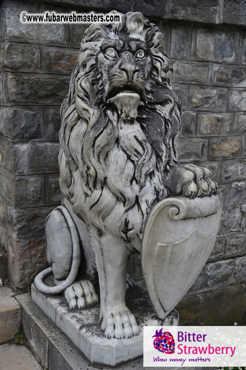 Road Trip to Transylvania