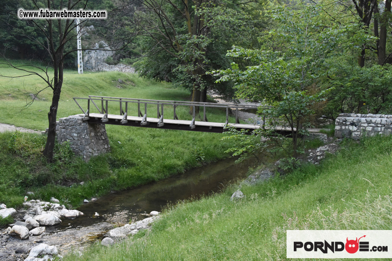 Road Trip to Transylvania