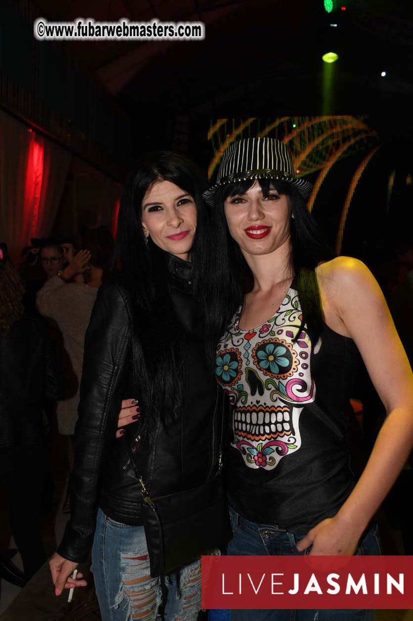 NightProwl Black Cats Party