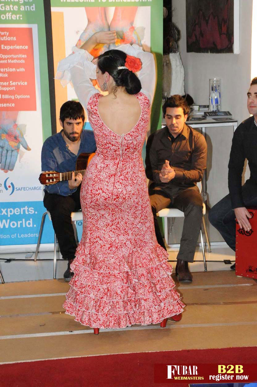 Live Flamenco Show