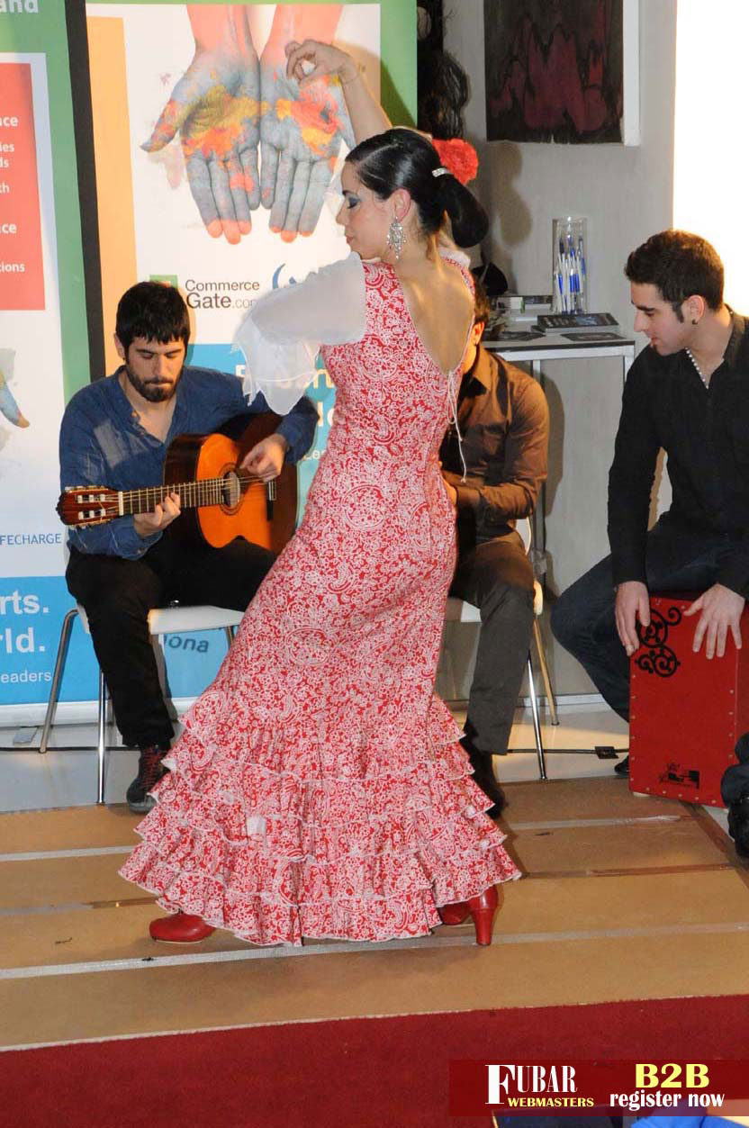 Live Flamenco Show