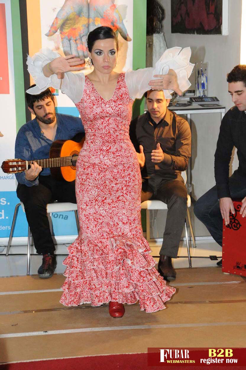Live Flamenco Show