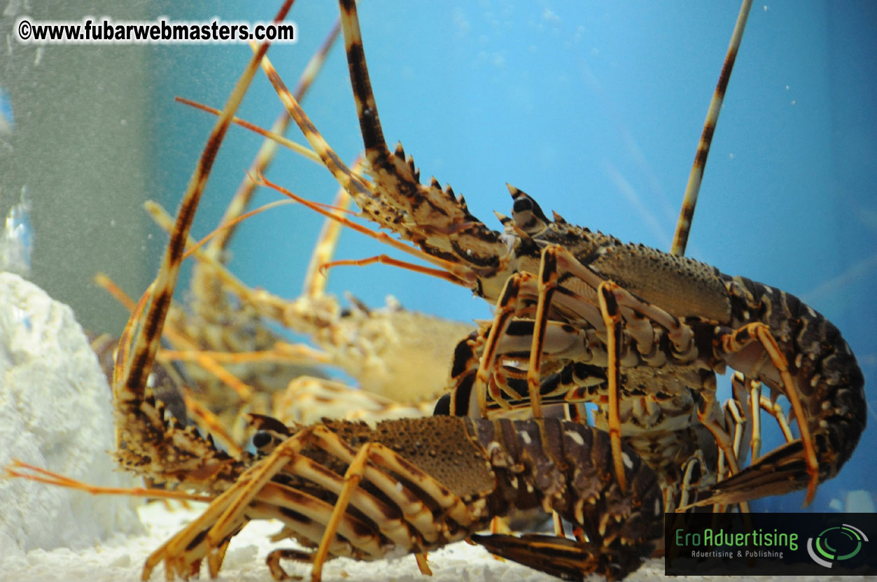 Dinner @ Restaurant Barceloneta