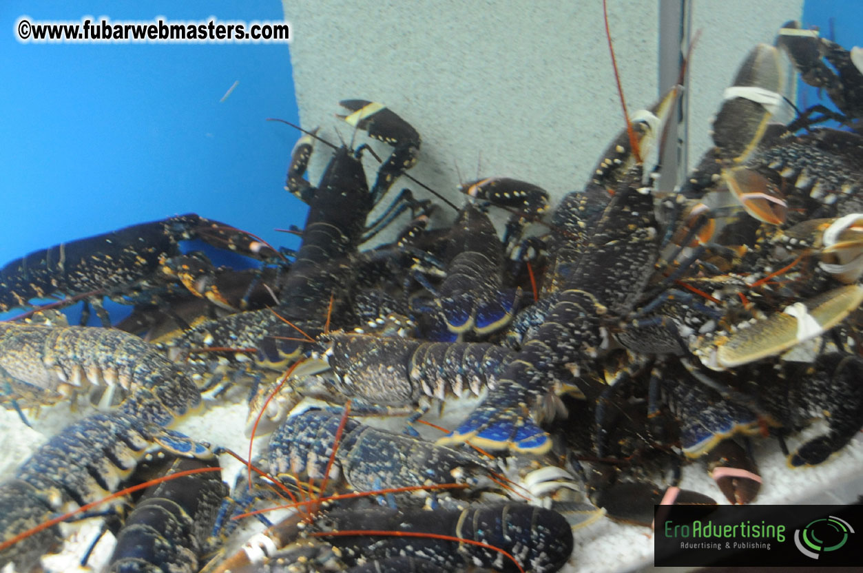 Dinner @ Restaurant Barceloneta