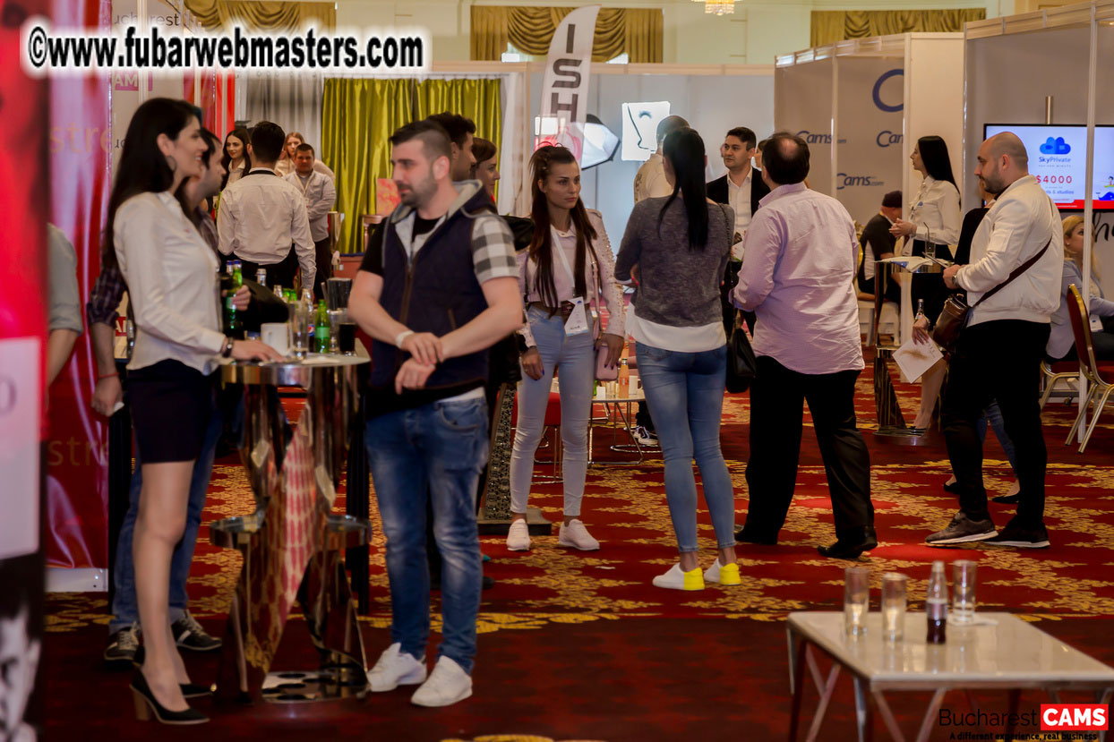 Day 2 - Meetings Day