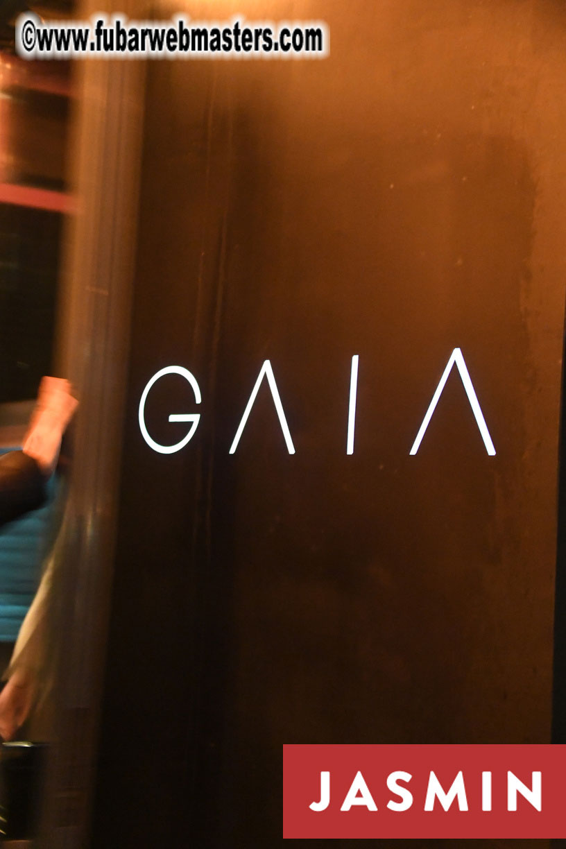 Party at Gaia