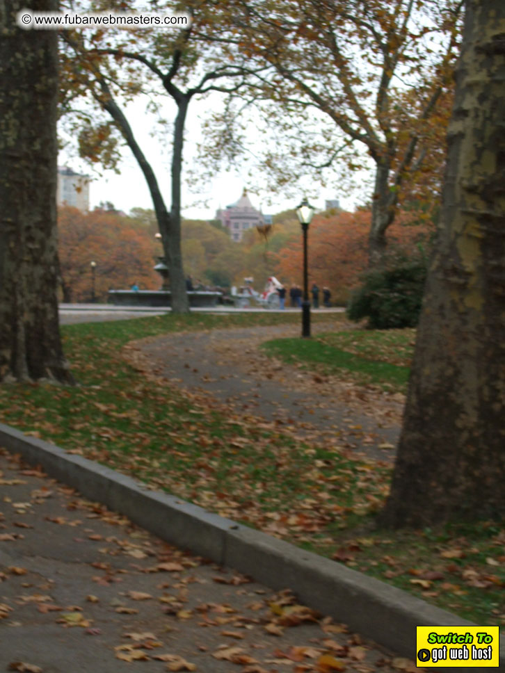 sightseeing in New York and Ad Tech