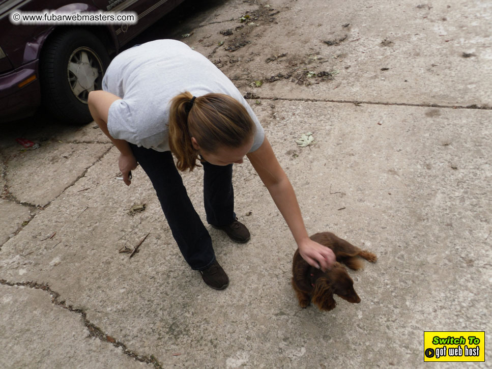 Baddog's view of Webmaster Access Amsterdam