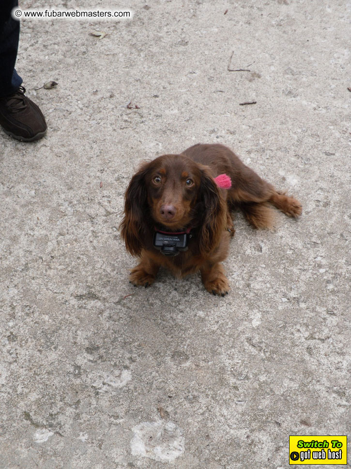 Baddog's view of Webmaster Access Amsterdam