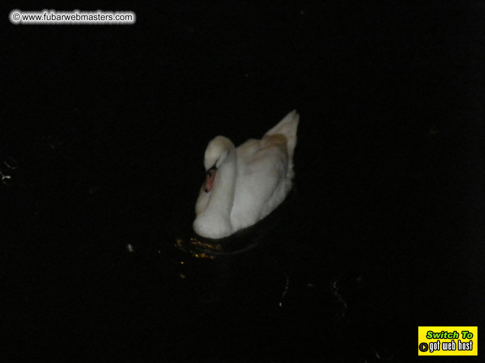 Baddog's view of Webmaster Access Amsterdam