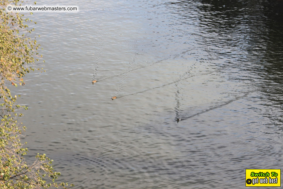 Baddog's view of Webmaster Access Amsterdam