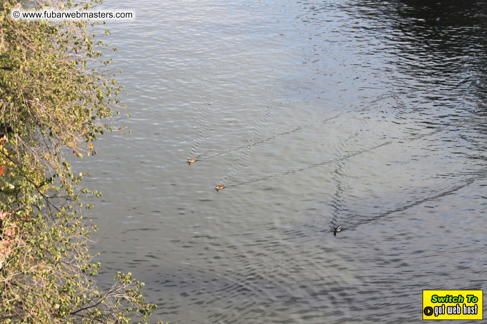 Baddog's view of Webmaster Access Amsterdam