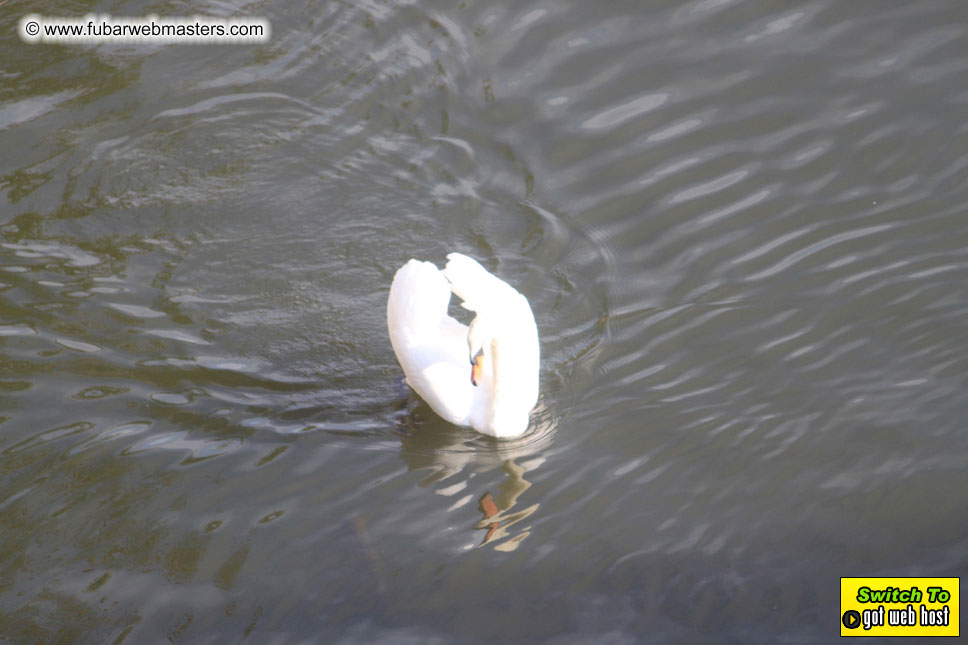 Baddog's view of Webmaster Access Amsterdam